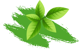 leaf with brush.png