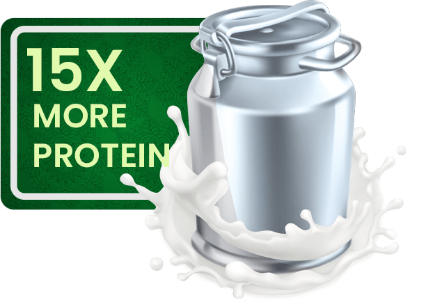 more protein img.png